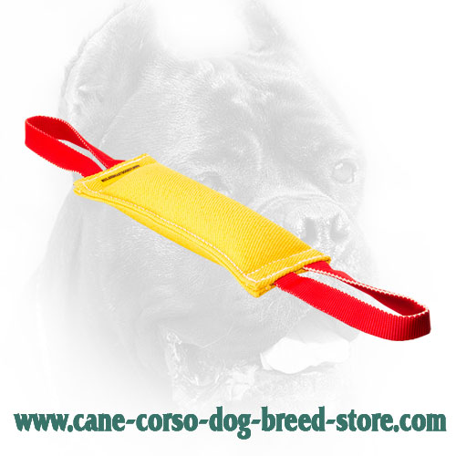 Stitched Cane Corso Bite Tug with Convenient Handles