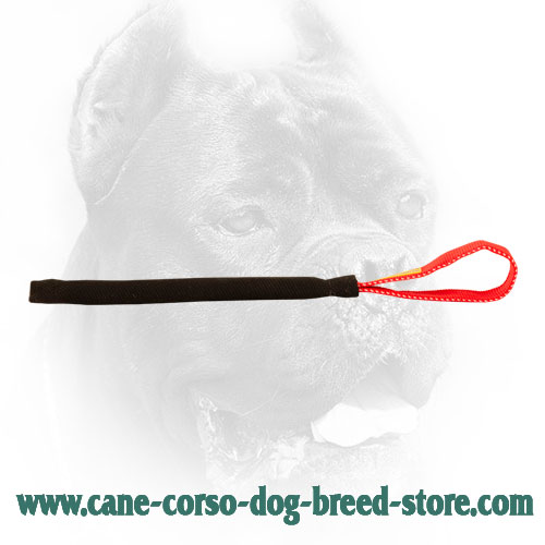French Linen Cane Corso Bite Tug for Puppy Training