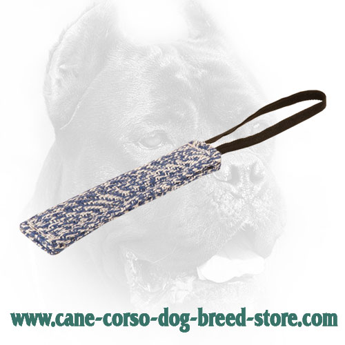 Long Cane Corso Bite Tug with One Handle