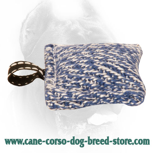 Pocket Size Cane Corso Bite Tug for Bite Training