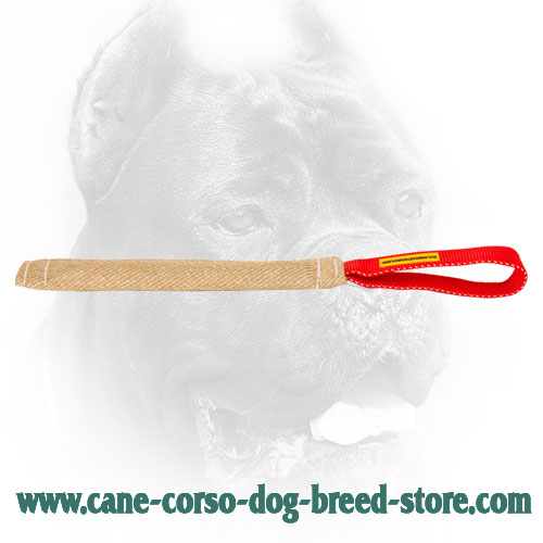 Jute Cane Corso Bite Tug for Bite Skills Developing 