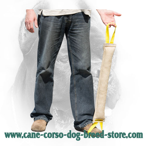 Cane Corso Bite Tug with Two Handles