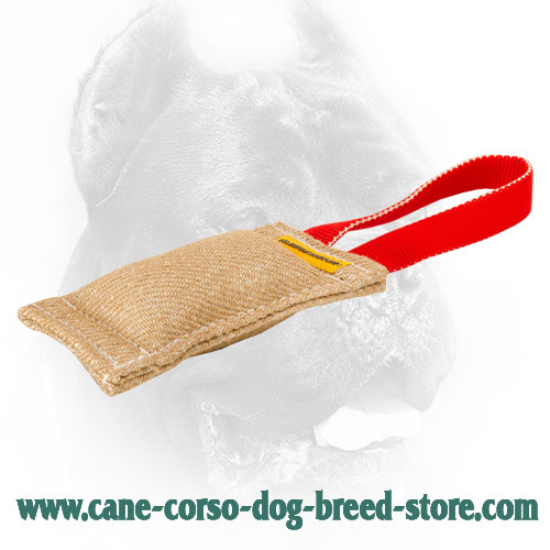 Extra Strong Cane Corso Bite Tug with Easy to Grab Handle