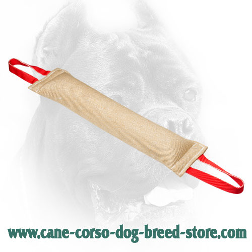 Jute Cane Corso Bite Tug for Bite Training