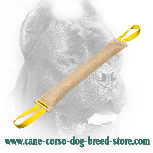 Jute Cane Corso Bite Tug for Training