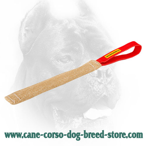 Jute Cane Corso Bite Tug with Comfortable Handle