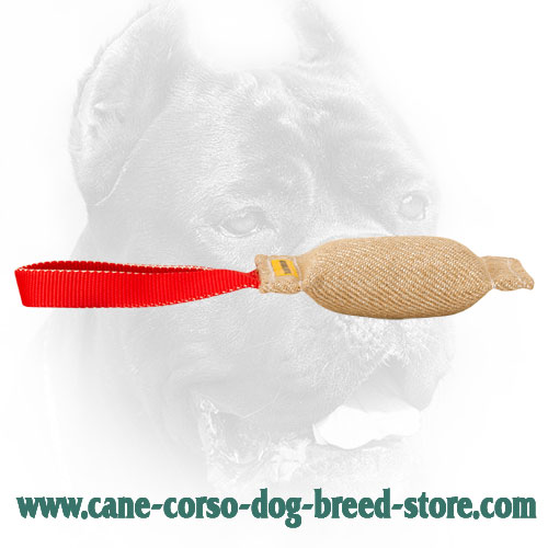 Durable Cane Corso Bite Tug for Training