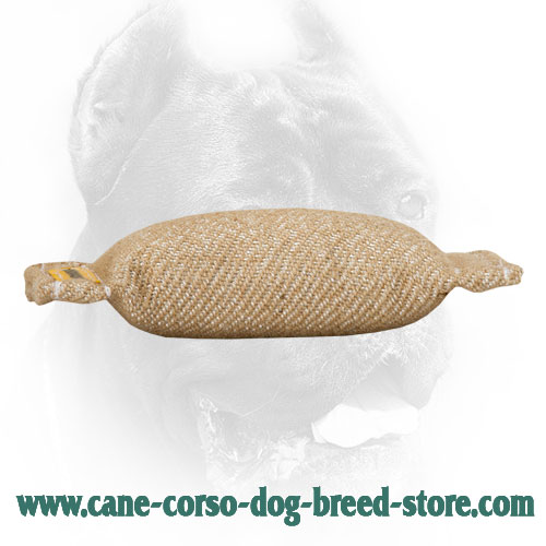 Jute Cane Corso Bite Tug for Bite Skills Developing