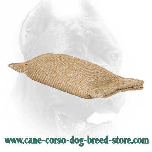 Cane Corso Bite Tug Without Handles