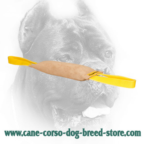 Leather Cane Corso Bite Tug with Comfy Nylon Handles