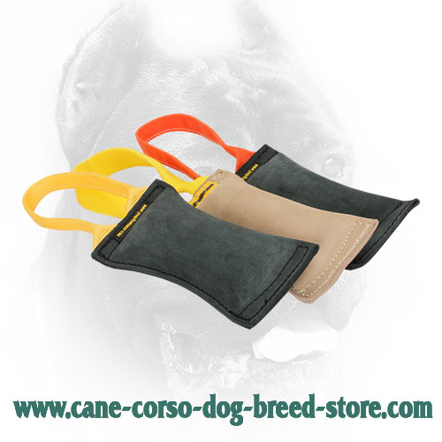 Cane Corso Bite Tug for Field Training