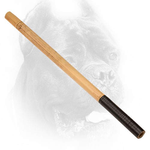 Cane Corso Stick for  Training