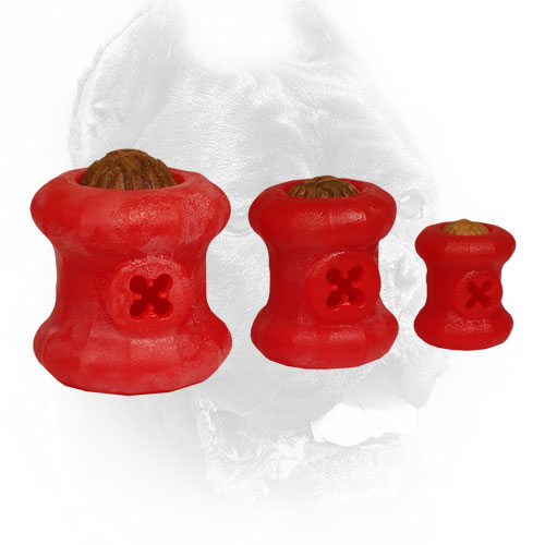 Chewing Rubber Cane Corso Toy Made of Rubber