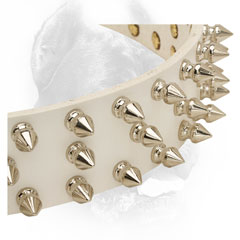 Nickel plated spikes set in three rows