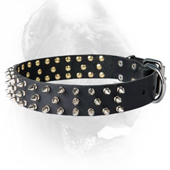 Spiked leather Cane Corso collar made of high quality stuff