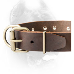 Cane Corso collar with handy buckle