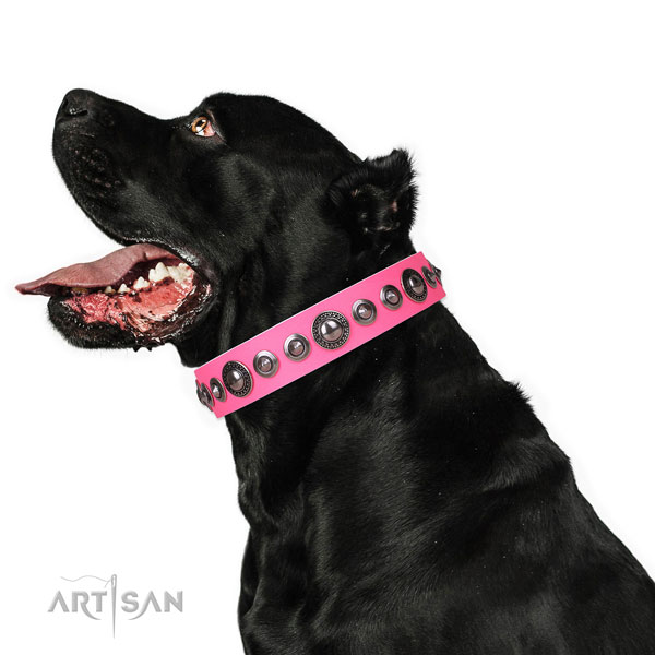Unusual adorned natural leather dog collar for handy use