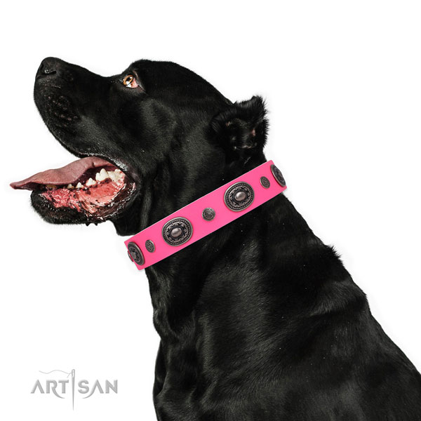 Natural leather dog collar with reliable buckle and D-ring for walking