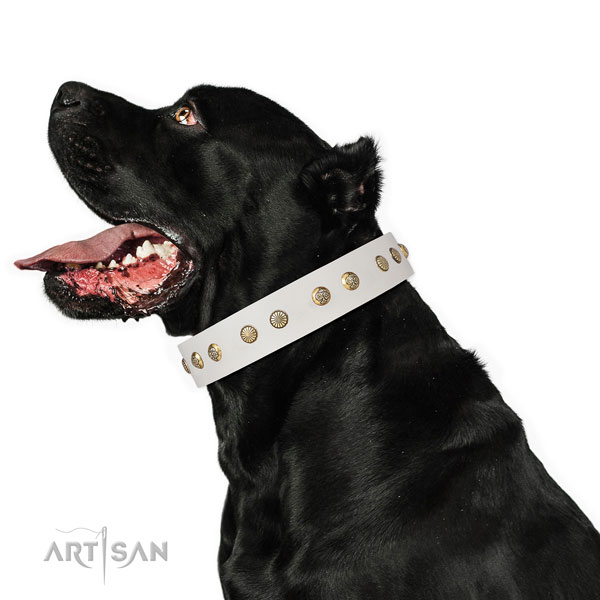 Fashionable decorations on everyday walking natural genuine leather dog collar
