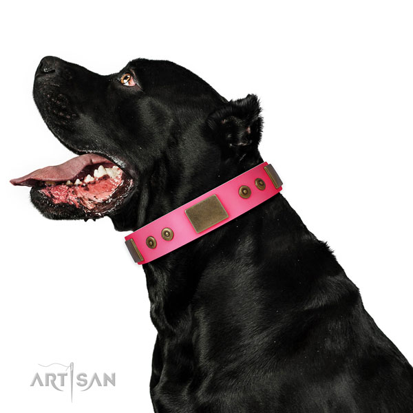 Extraordinary genuine leather collar for your lovely doggie