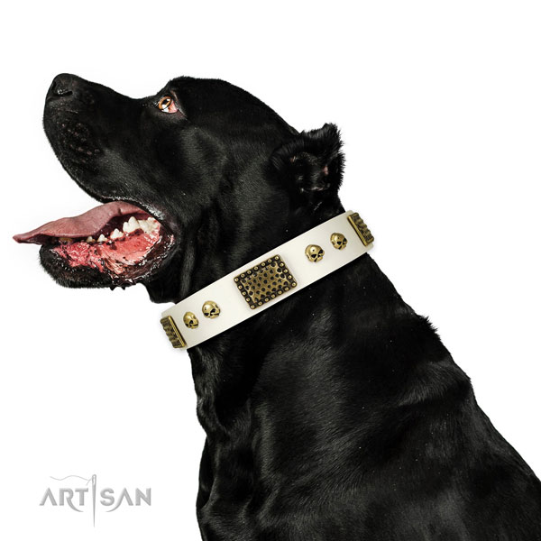 Reliable D-ring on full grain natural leather dog collar for walking