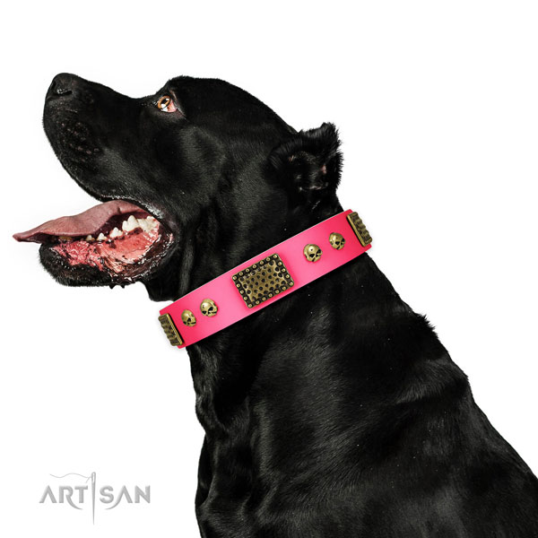 Rust-proof buckle on full grain leather dog collar for easy wearing