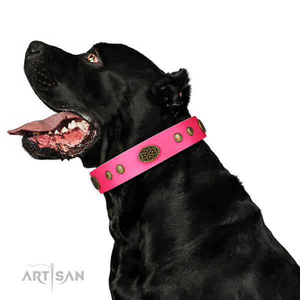 Durable D-ring on full grain natural leather dog collar for basic training