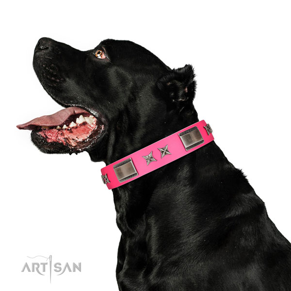 Convenient collar of leather for your canine