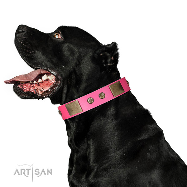 Strong fittings on genuine leather dog collar for everyday use