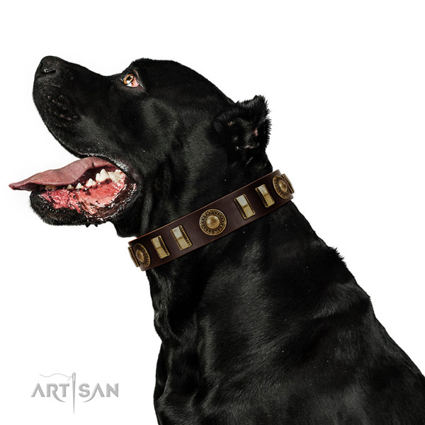 Soft to touch full grain natural leather dog collar with reliable D-ring