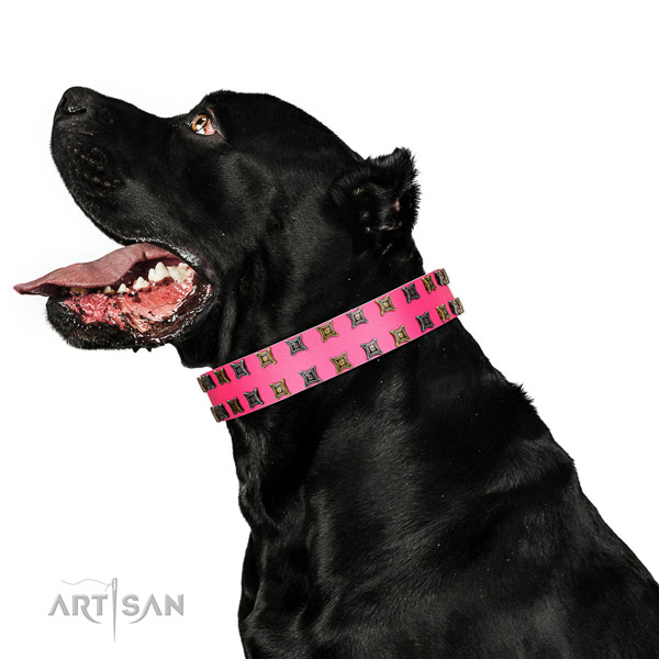 Reliable full grain leather dog collar with adornments for your canine