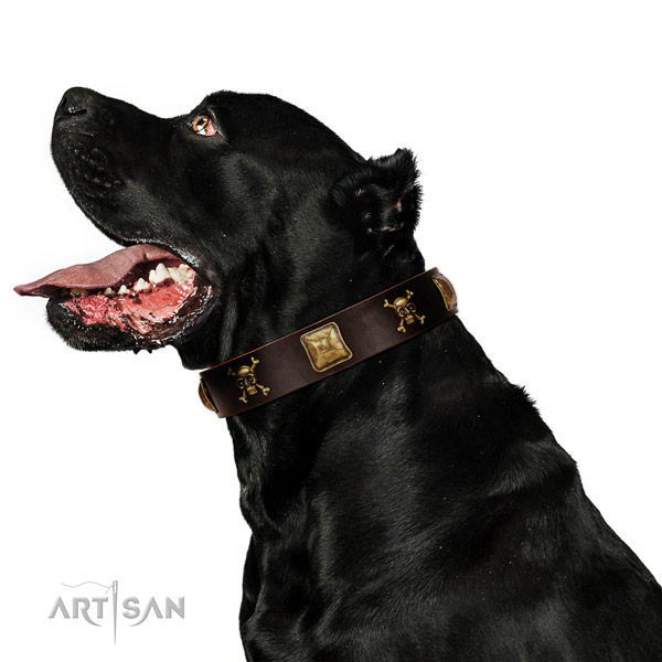 High quality full grain leather dog collar with inimitable decorations