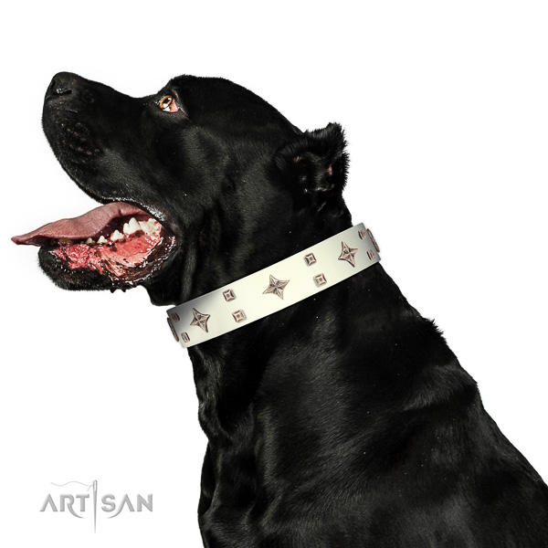 Full grain genuine leather dog collar of flexible material with inimitable adornments