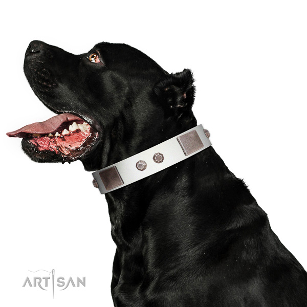 Inimitable collar of natural leather for your beautiful pet