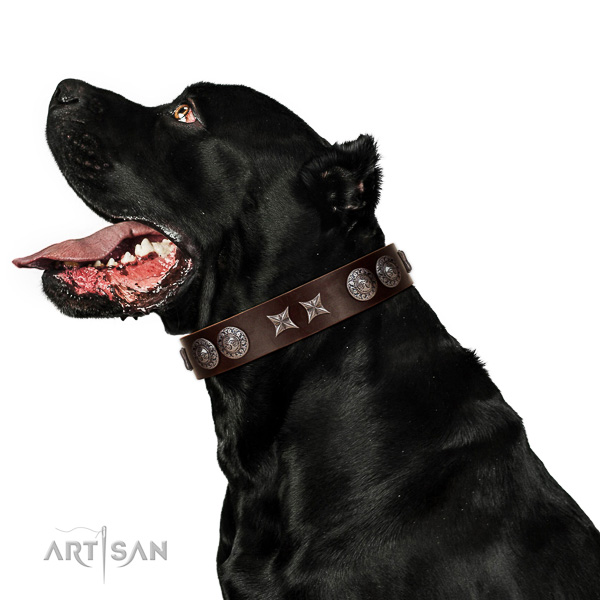 Daily walking reliable genuine leather dog collar with embellishments