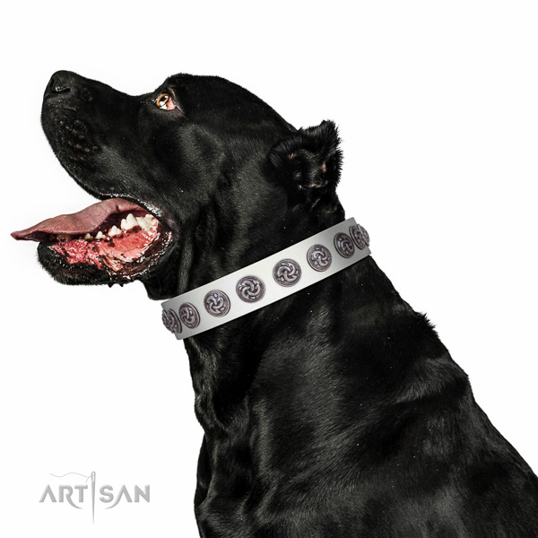 Best quality full grain leather dog collar created for your pet