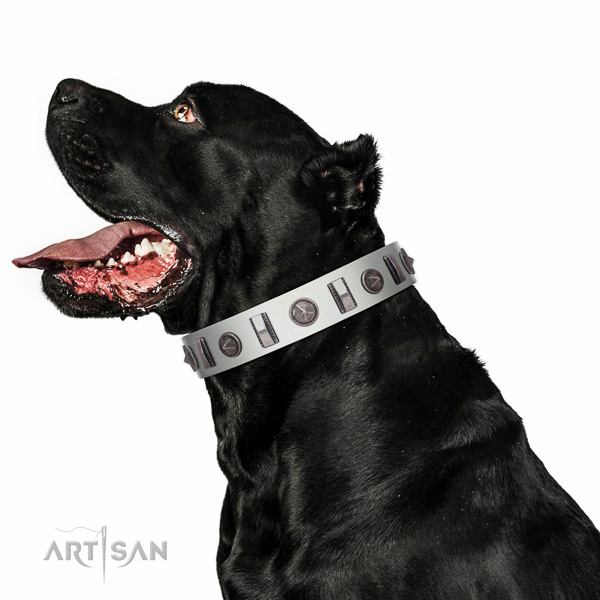 Everyday use decorated full grain genuine leather collar for your doggie
