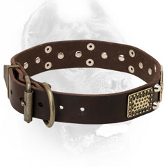Leather Cane Corso Collar with Strong Brass Buckle