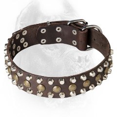 Leather Cane Corso Collar with Pyramids and Half-Ball Studs