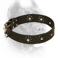 Leather Cane Corso Collar with Silver-Like Studs