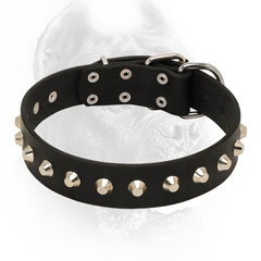 Leather Cane Corso Collar with Nickel Plated Studs