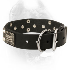 Cane Corso Collar with Strong D-Ring