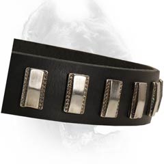 Tear Resistant Cane Corso Collar for Walking