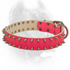 Spiked Design Leather Cane Corso Collar 