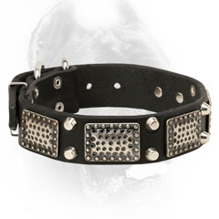 Leather Cane Corso Collar with Decorations