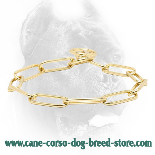 Cane Corso Fur Saver for Training