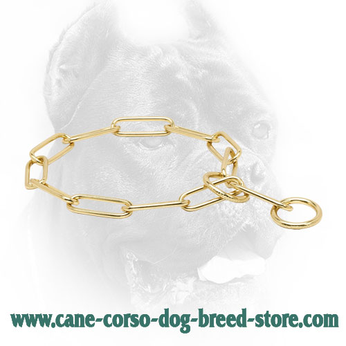 Cane Corso Collar with Fur Saving Links