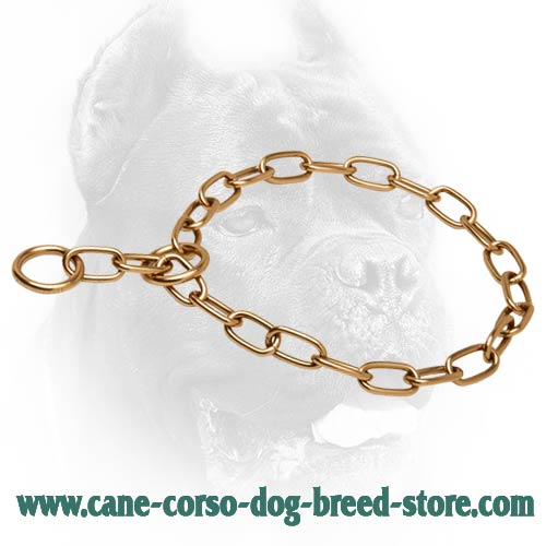 Reliable Curogan Cane Corso Fur Saver for Training