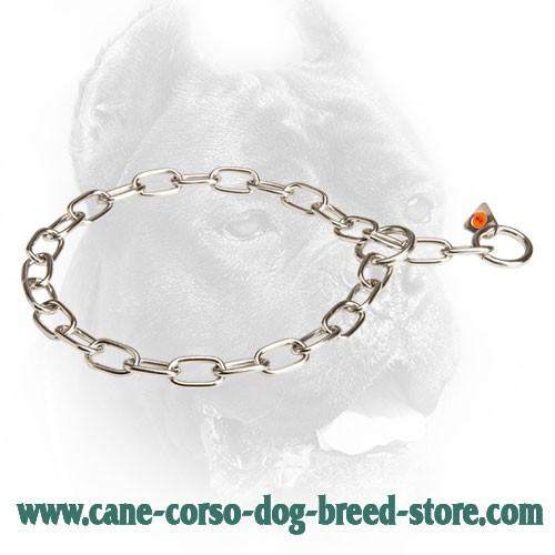 Cane Corso Fur Saver for Dog Training