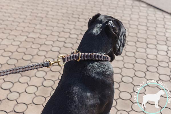 Cane Corso reliable choke collar with brass O-rings